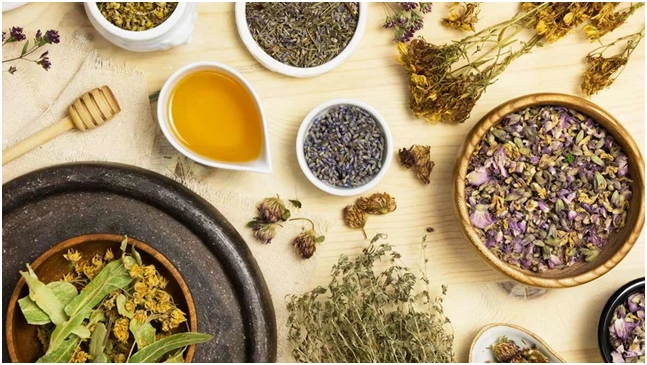 Immune system wellness programme